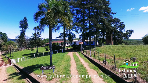 VAI ATE MANGUEIRA OVELHAS.00_03_23_18.Quadro044_447ba0bcc89d3d2c71690a12f4914c66c229a31e.jpg